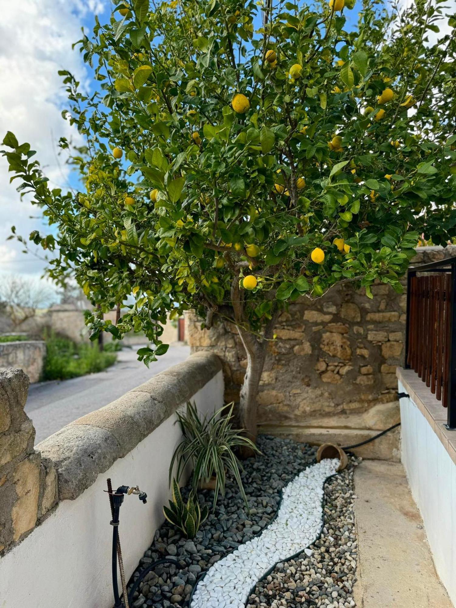 Mariarodes House Pano Arodes Exterior photo